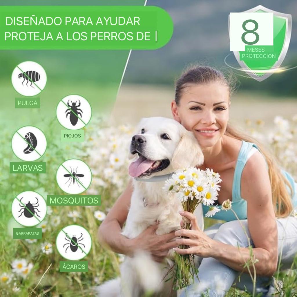 Collar Protección Natural – 8 Meses De Cuidado Para Tu Mejor Amigo🐾