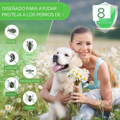 Collar Protección Natural – 8 Meses De Cuidado Para Tu Mejor Amigo🐾