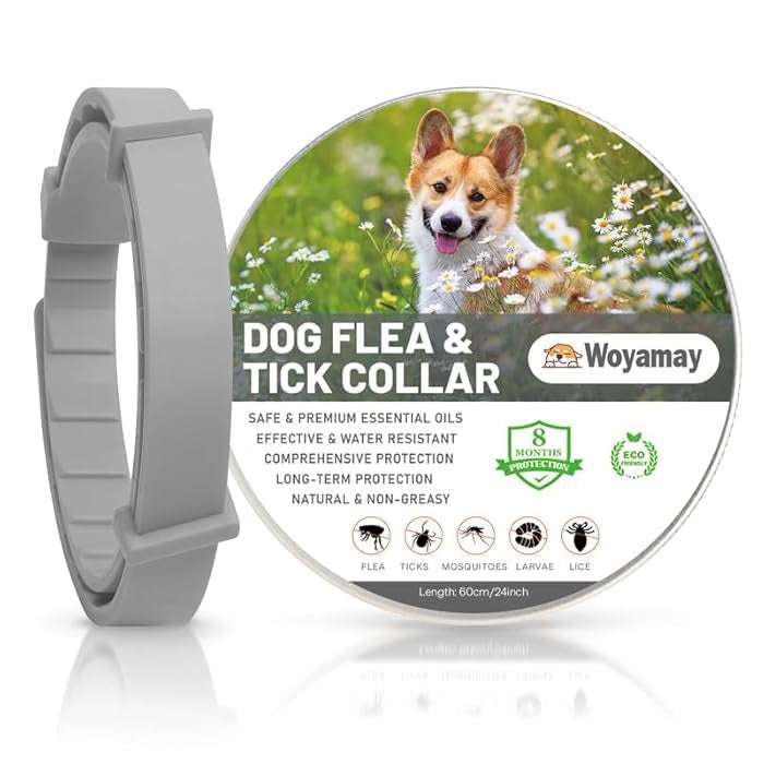 Collar Protección Natural – 8 Meses De Cuidado Para Tu Mejor Amigo🐾