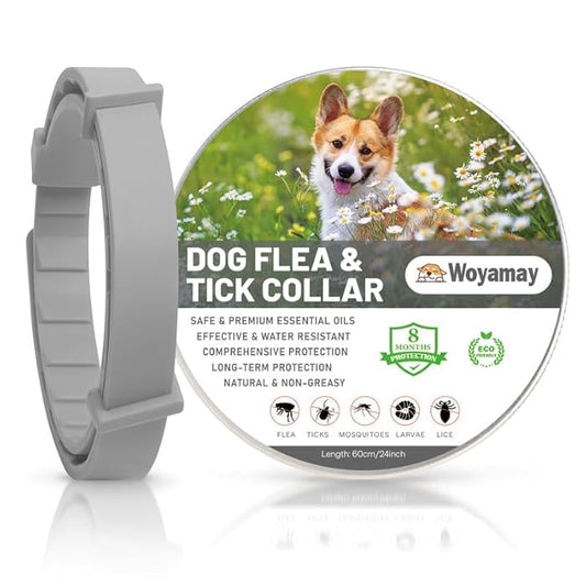 Collar Protección Natural – 8 Meses De Cuidado Para Tu Mejor Amigo🐾