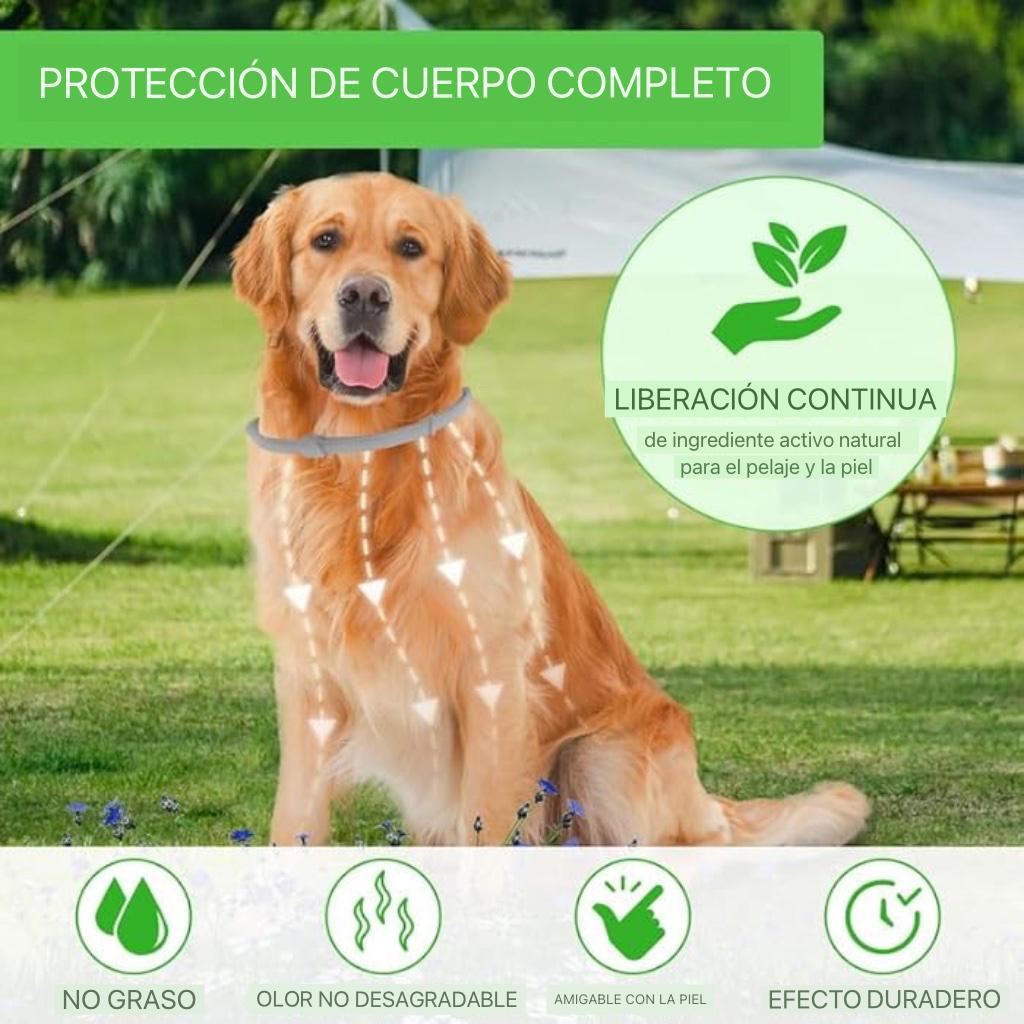 Collar Protección Natural – 8 Meses De Cuidado Para Tu Mejor Amigo🐾