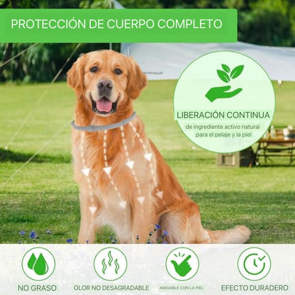 Collar Protección Natural – 8 Meses De Cuidado Para Tu Mejor Amigo🐾